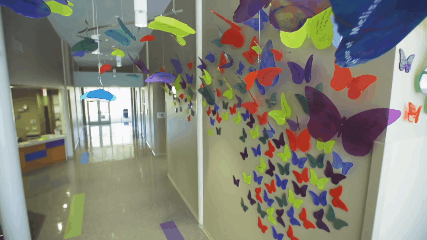 Plastic rainbow butterflies decorate the school hallway