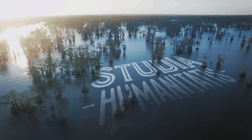 Studio Humanitatis typography floats over a swamp landscape