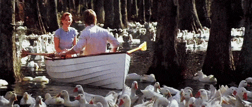 Baton Rouge video producer gif Rachel McAdams and Ryan Gosling ride in a boat in the notebook 