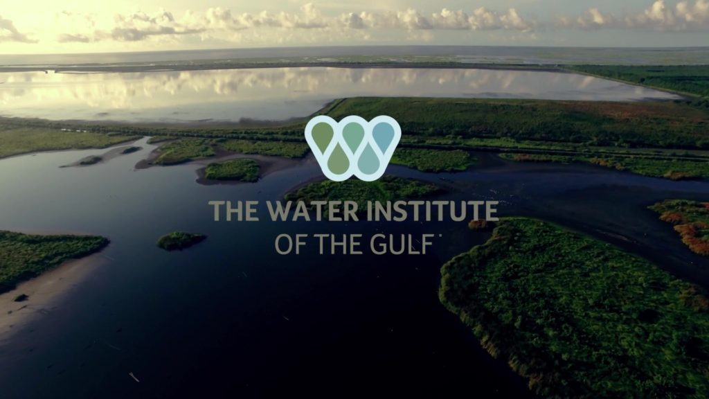 the water institute logo